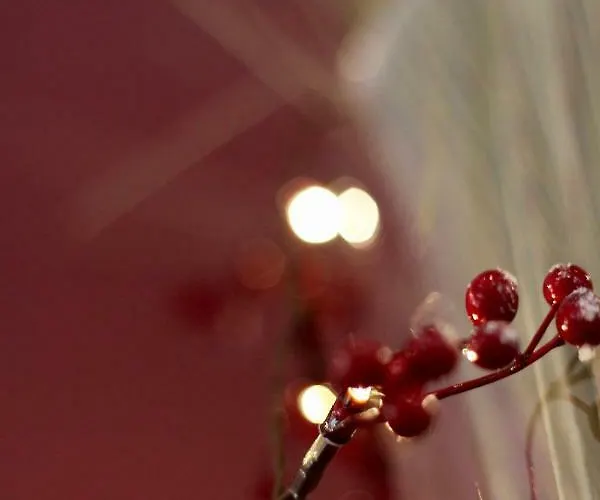 Eifel * Esch (Rhineland-Palatinate)